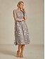voordelige Jassen-Dames Blazer Jas Ademend Kant Geborduurd Open Voorkant Elegant Bloemig Dagelijks Formeel Bruiloft gast Normaal Ronde hals Normale pasvorm 3/4 mouw bovenkleding Mauve Champagne Licht Paars Zomer Lente