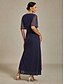 abordables Robe Simple-Femmes Robe maxi Robe fourreau Élégant Couleur Unie Manche Courte Col en V bleu marine