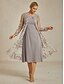 voordelige Jassen-Dames Blazer Jas Ademend Kant Geborduurd Open Voorkant Elegant Bloemig Dagelijks Formeel Bruiloft gast Normaal Ronde hals Normale pasvorm 3/4 mouw bovenkleding Mauve Champagne Licht Paars Zomer Lente