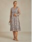 voordelige Jassen-Dames Blazer Jas Ademend Kant Geborduurd Open Voorkant Elegant Bloemig Dagelijks Formeel Bruiloft gast Normaal Ronde hals Normale pasvorm 3/4 mouw bovenkleding Mauve Champagne Licht Paars Zomer Lente
