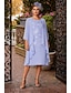 economico Set di abiti per la mamma-Due Pezzi Tubino Colonna Lunghezza Tè Abito da invitata a nozze Abito da cerimonia per signora Senza Maniche Collo gioiello Elegante Ospite di nozze Ricevimento di matrimonio Chiffon Pizzo Abiti con