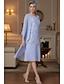 economico Set di abiti per la mamma-Due Pezzi Tubino Colonna Lunghezza Tè Abito da invitata a nozze Abito da cerimonia per signora Senza Maniche Collo gioiello Elegante Ospite di nozze Ricevimento di matrimonio Chiffon Pizzo Abiti con