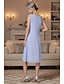 economico Set di abiti per la mamma-Due Pezzi Tubino Colonna Lunghezza Tè Abito da invitata a nozze Abito da cerimonia per signora Senza Maniche Collo gioiello Elegante Ospite di nozze Ricevimento di matrimonio Chiffon Pizzo Abiti con