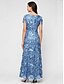 ieftine Rochie simplă-Pentru femei Rochie Maxi Rochie teacă Elegant Culoare solidă Manșon scurt Stil Nautic Wedgewood