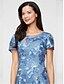 ieftine Rochie simplă-Pentru femei Rochie Maxi Rochie teacă Elegant Culoare solidă Manșon scurt Stil Nautic Wedgewood