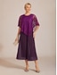 ieftine pantaloni cu picior drept-Pentru femei Picior Larg Pantaloni cu picioare drepte Elegant Lungime până la glezne Talie medie Curea elastică Strech Casual Zilnic Concediu dudă Mov Vânătă Vară Primăvară Toamnă