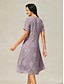 abordables Robe Simple-Femmes Mini Robe Robe fourreau Élégant Couleur Unie Manche Courte Col ras du cou Lilas