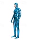 preiswerte Glänzend-Zentai-Anzüge Bodysuit Karnevalskostüm Ganzkörperanzug Herren Einfarbig Latex Elasthan Lycra Kostüm für Karneval Maskerade Erwachsene