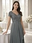 preiswerte Bodenlänge-A-Linie Bodenlang Kleid für Hochzeitsgäste Abendkleid Brautmutterkleid Kurzarm V Ausschnitt Elegant Einfach Hochzeitsgast Formeller Abend Hochzeitsfeier Chiffon mit Einfarbig