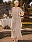 cheap Mom's Dress Sets-Sheath Column Ankle Length Wedding Guest Dress Mother of the Bride Dress Sleeveless U Neck Elegant Simple Wedding Guest Semi Formal Chiffon with Tier Solid Color