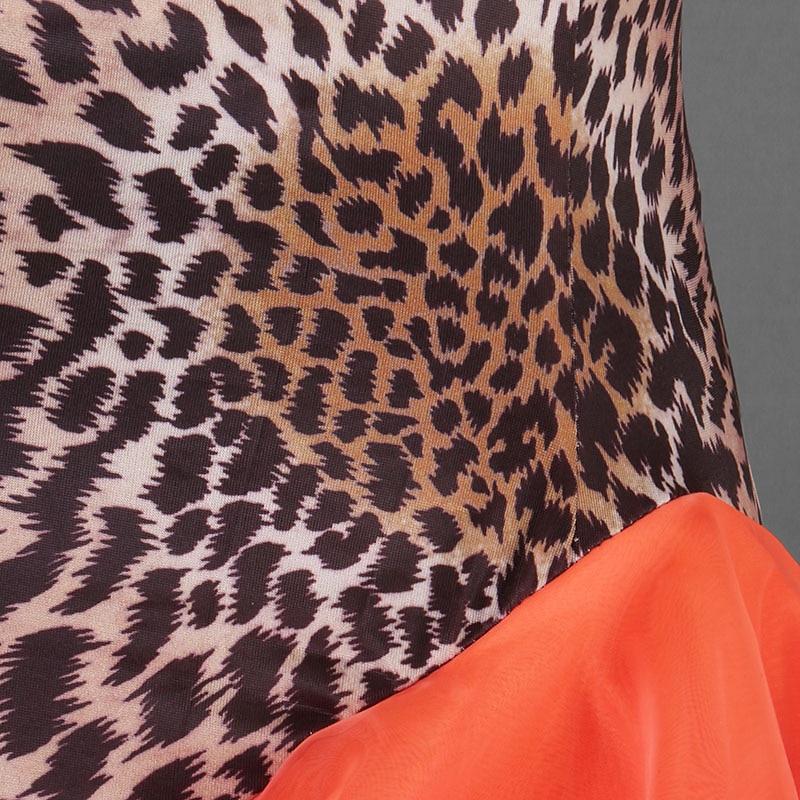 Dance Salsa Latin Dance Dress Split Joint Women's Performance Sleeveless Spandex Organza4