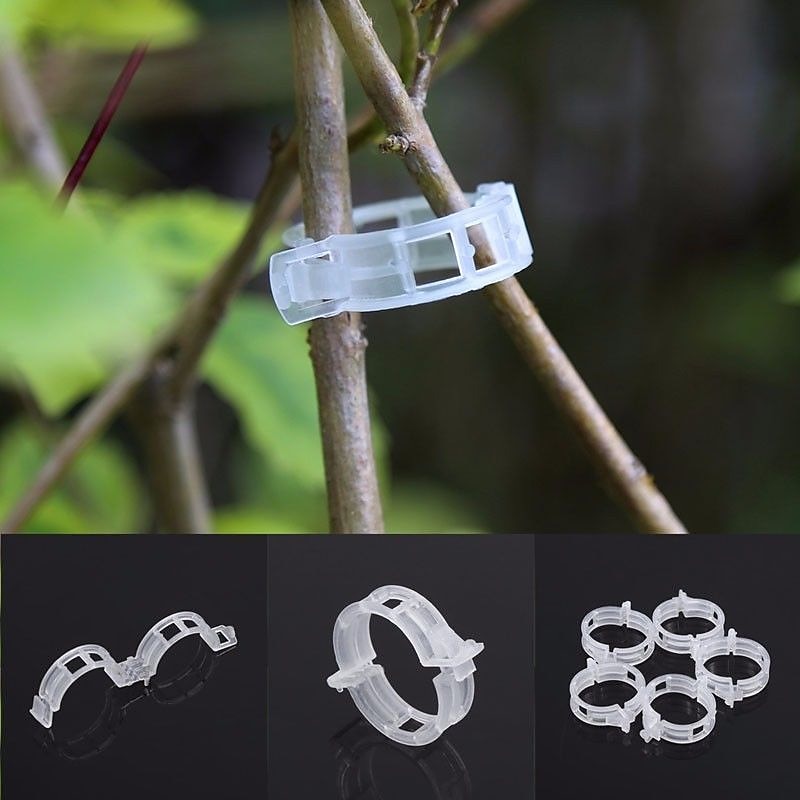 50pcs Plant Vines Fixed Clip Tied Buckle Lashing Hook Agricultural Greenhouse Vegetable Gadget Garden Plastic Planter Trelli2