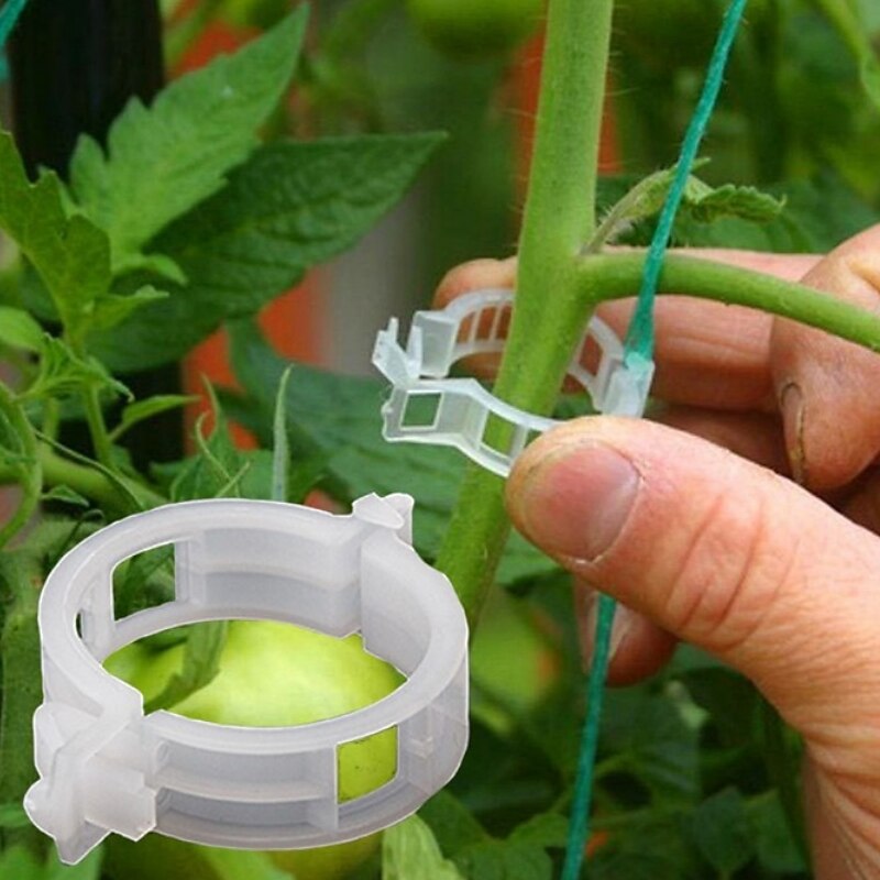 50pcs Plant Vines Fixed Clip Tied Buckle Lashing Hook Agricultural Greenhouse Vegetable Gadget Garden Plastic Planter Trelli