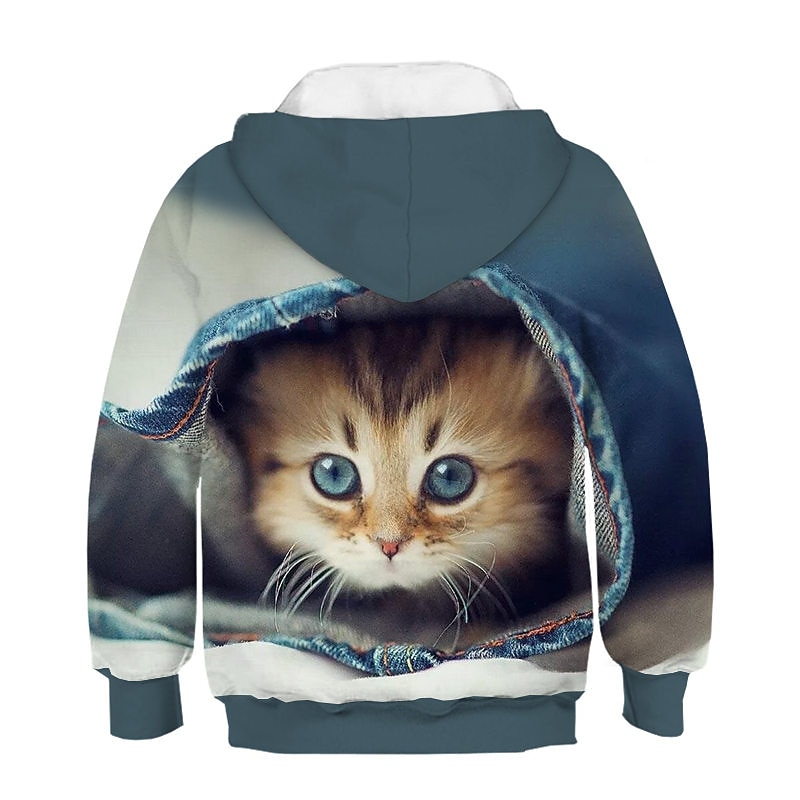 Kids 3D Print Cat Hoodie Long Sleeve  Animal Green Blue Purple Children Tops Fall Winter Active Streetwear Daily Indoor 2-13 Years2