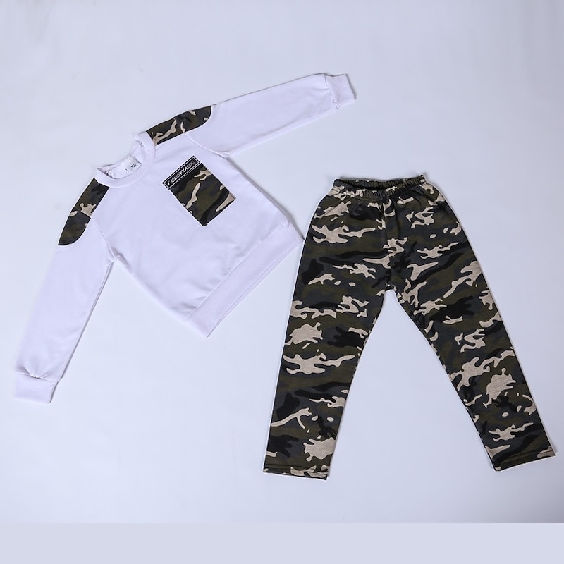 Boys 3D Color Block Print Camouflage Sweatshirt & Sweatpants Set Pants Set Clothing Set Long Sleeve Basic Casual Toddler 3-12 Years School Sports Outdoor Slim2