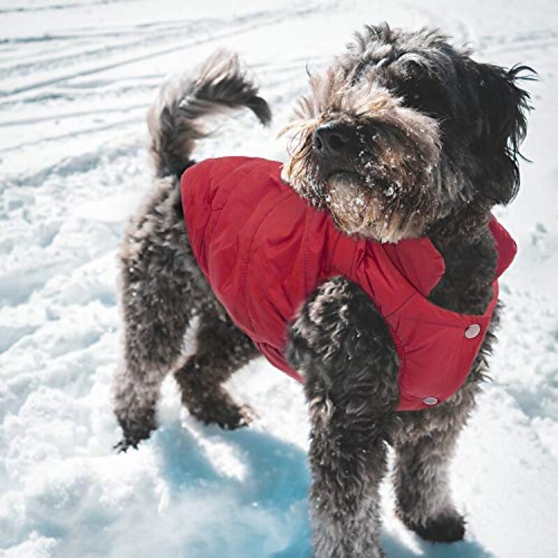 Fleece Lining Extra Warm Dog Hoodie in Winter for Small Dogs Jacket Puppy Coats with Hooded,Red （XS-XXXL)4