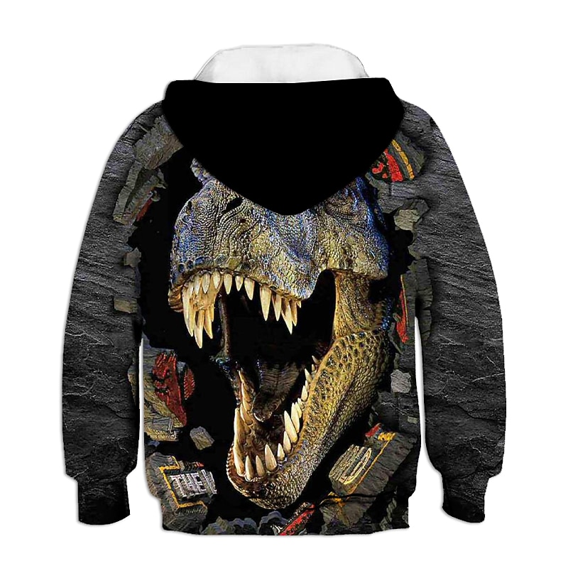 Boys 3D Animal Hoodie Long Sleeve 3D Print Fall Winter Active Streetwear Basic Kids 2-13 Years Outdoor Daily2