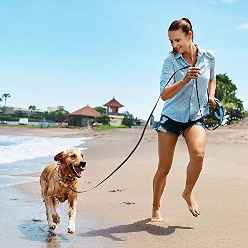Upgraded Retractable Dog Leash, 360° Tangle-free Dog Walking Leash For Heavy Duty Up To 33lbs, 16.5ft Strong Reflective Nylon Tape With Anti-slip Handle, One-handed Brake, Pause, Lock(pink)2