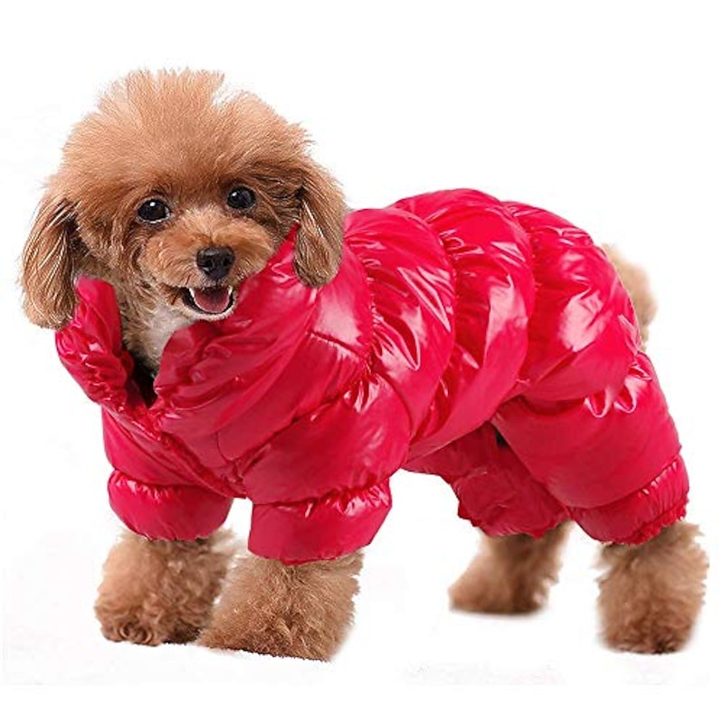 Winter Dog Coat Waterproof Windproof Dog Snowsuit Warm Fleece Padded Winter Pet Clothes For Chihuahua Poodles French Bulldog Pomeranian Small Dogs (red)