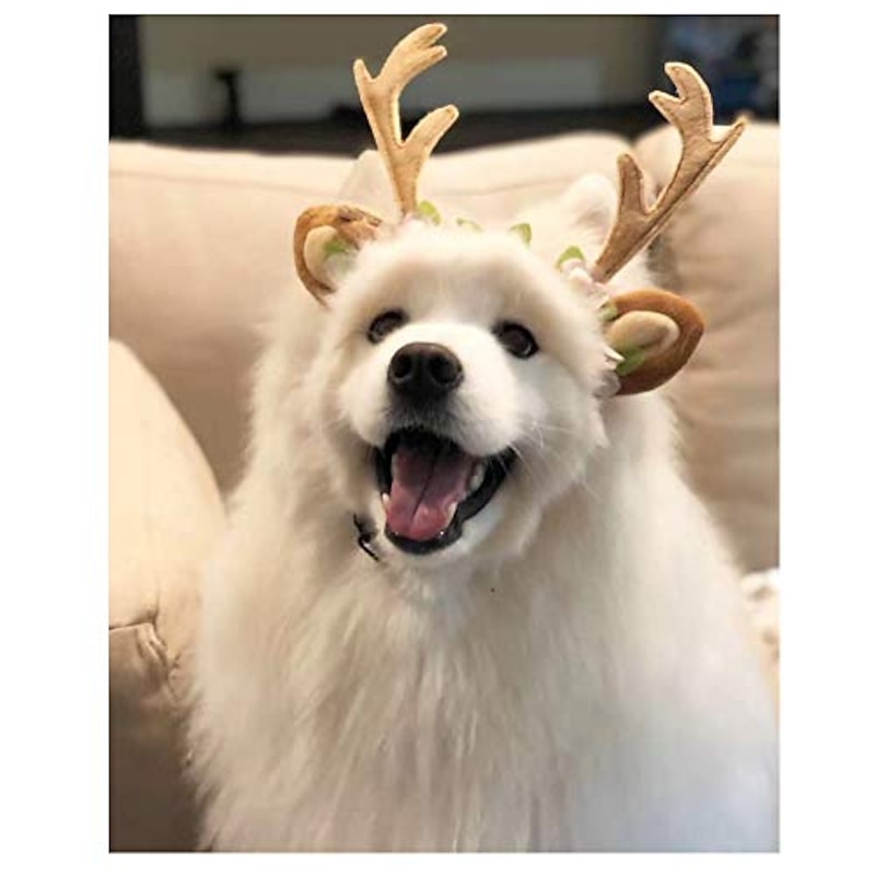 Dog Cat Xmas Costume Reindeer Headband Costume With Flowers Holiday Carnival Adjustable Elk Antlers Ears Wearable Headgear Holiday Party Costume For Cats Small/medium/large Dogs4