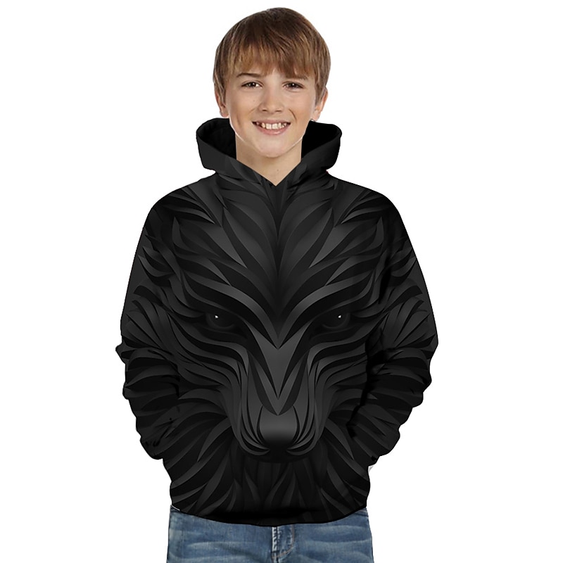 Boys 3D Animal Hoodie Long Sleeve 3D Print Spring Fall Active Basic Kids Toddler 3-12 Years Daily2