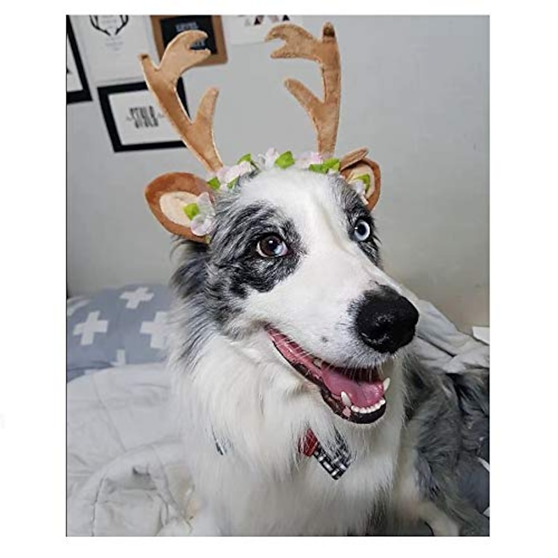 Dog Cat Xmas Costume Reindeer Headband Costume With Flowers Holiday Carnival Adjustable Elk Antlers Ears Wearable Headgear Holiday Party Costume For Cats Small/medium/large Dogs2