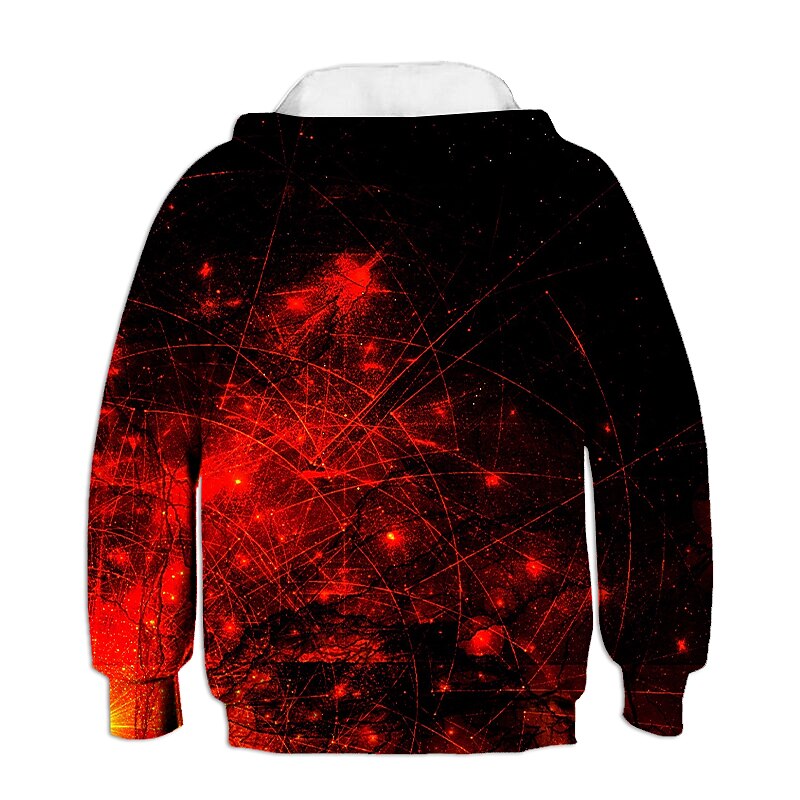 Boys 3D 3D Hoodie & Sweatshirt Long Sleeve 3D Print Summer Spring Fall Active Basic Polyester Rayon Kids School Casual Daily Wear2