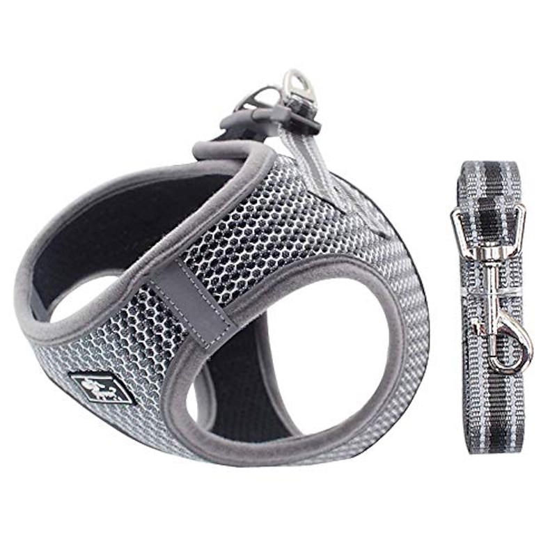no pull dog harness small dogs, soft mesh reflective breathable step-in dog cat harness and lead set for puppy cat pet vest with leash adjustable for outdoor walking, training xs silver grey