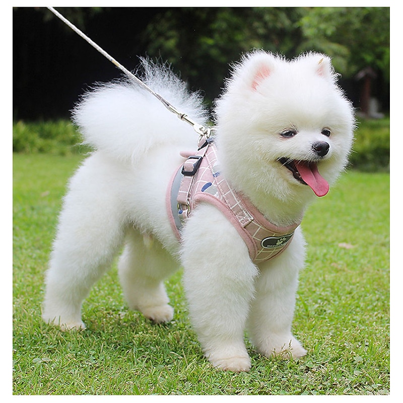 plaid cat harness and lead set escape proof reflective soft mesh chest harness for kitten small dogs puppy no pull easy on step in vest harness for chihuahua walking training outdoor gray m3