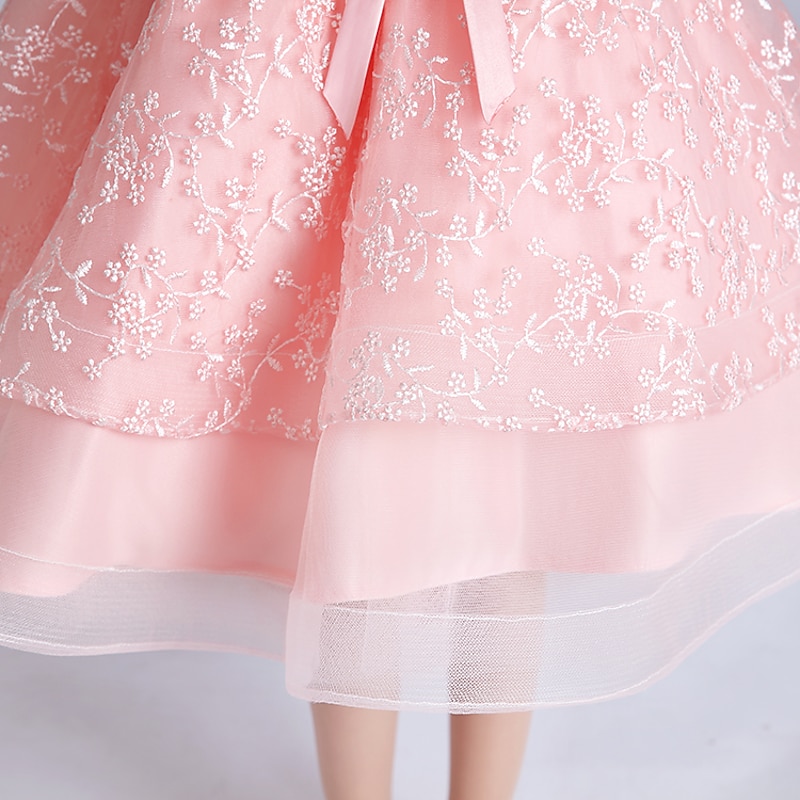 Flower Girl Dress Girls' Dress Princess Dress Party Dress Performance Wedding Party Cute Princess Sweet Children's Day Mesh Layered Floral Sleeveless Crew Neck White Pink 3-12 Years4