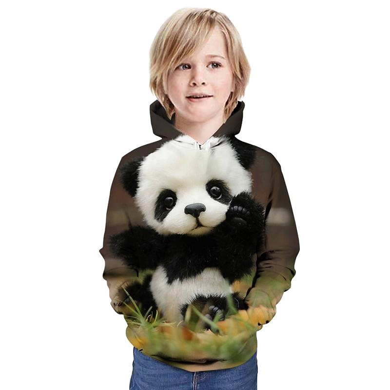 Boys 3D Animal Hoodie Long Sleeve 3D Print Fall Winter Active Cute Kids 3-12 Years School Outdoor Daily