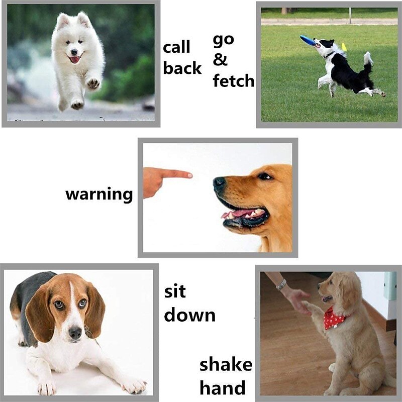 Dog Training Training Dog Whistle with Adjustable Pitch Easy to Use Ultrasonic Dog Portable Safety Alloy Whistles For Pets3