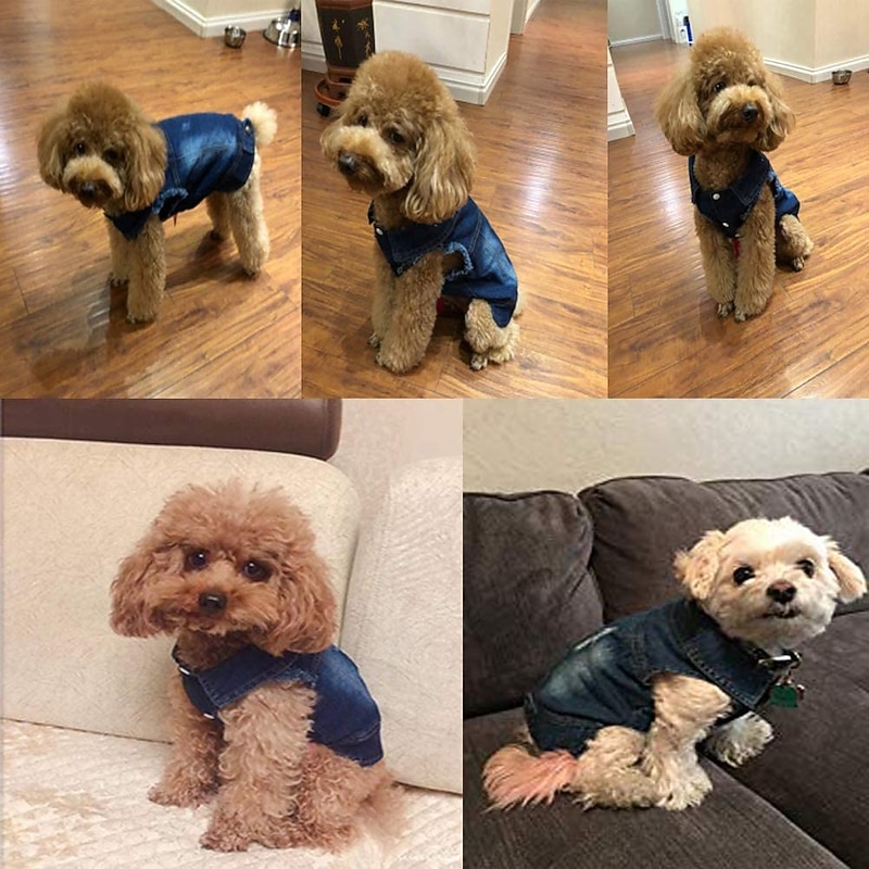 Dog Coat Denim Jacket / Jeans Jacket Jacket Puppy Clothes Sports Casual Daily Winter Outdoor Dog Clothing2
