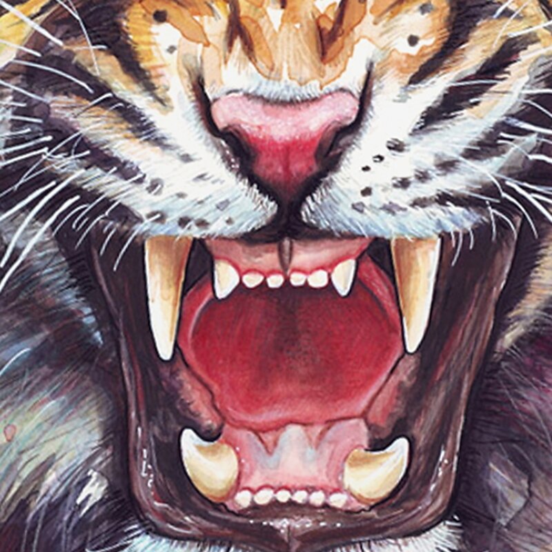 Boys 3D Animal T shirt Tee Short Sleeve 3D Print Summer Active Streetwear Cool Polyester Kids 3-12 Years Daily Wear Regular Fit3