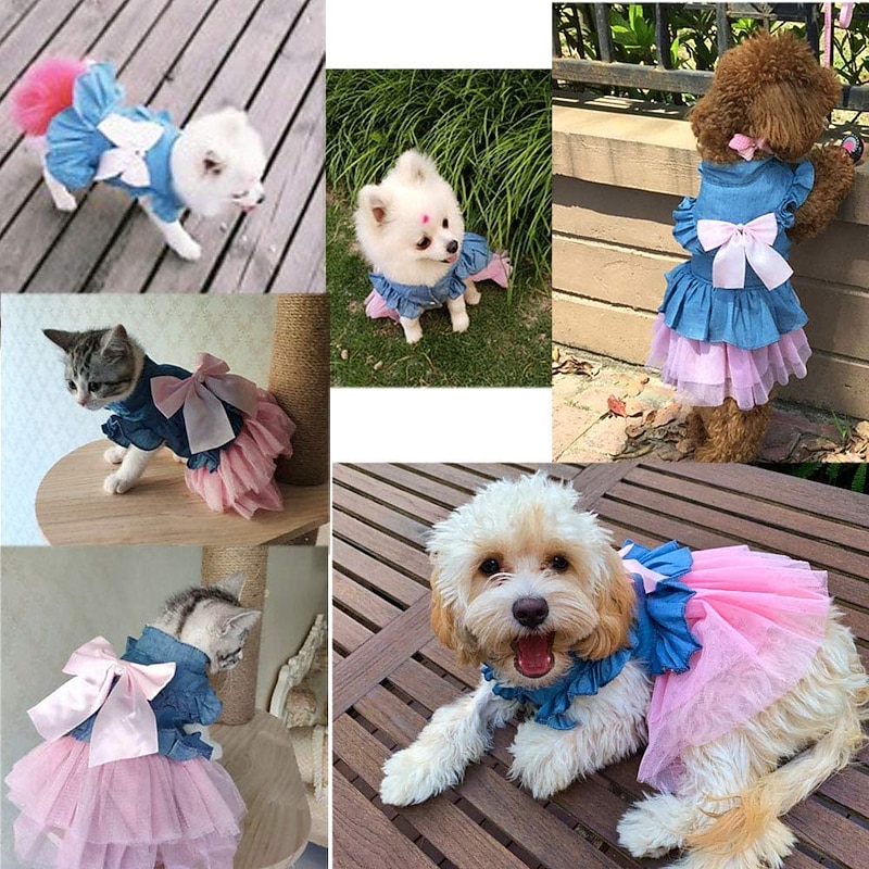 Dog Dress Puppy Clothes Skirt Adorable Casual Daily Sweet Summer Spring &  Fall Dog Clothing4