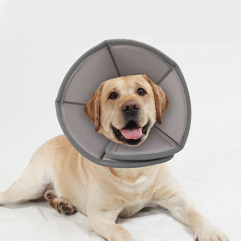 Dog Cat Pet Cone Pet Recovery Collar Elizabeth circle Adjustable Stress Relieving Safety Anti-Bite Lick Wound Healing After Surgery Protective Outdoor Walking Solid Colored Small Dog