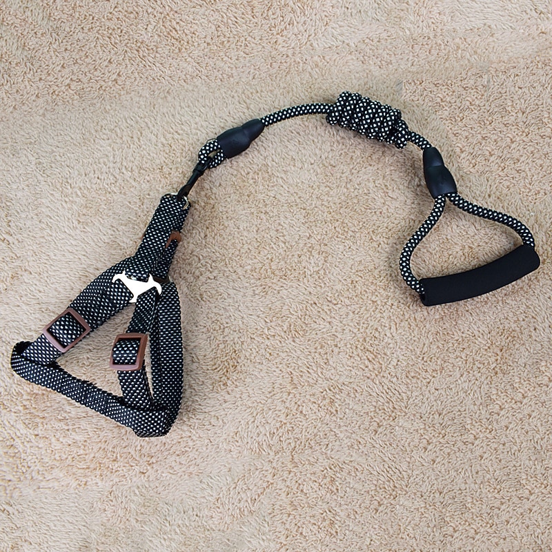 Dog Cat Training Leash Dog Leash Pet Walking Leash Retractable Escape Proof With Anti-Slip Handle Outdoor Walking Solid Colored Small Dog Medium Dog4