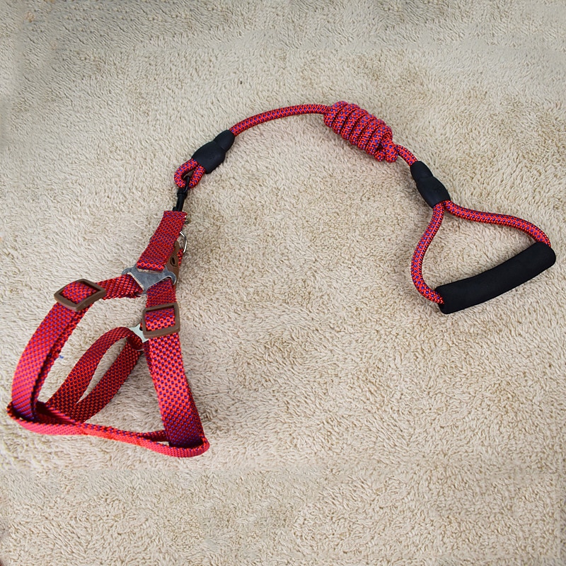 Dog Cat Training Leash Dog Leash Pet Walking Leash Retractable Escape Proof With Anti-Slip Handle Outdoor Walking Solid Colored Small Dog Medium Dog3