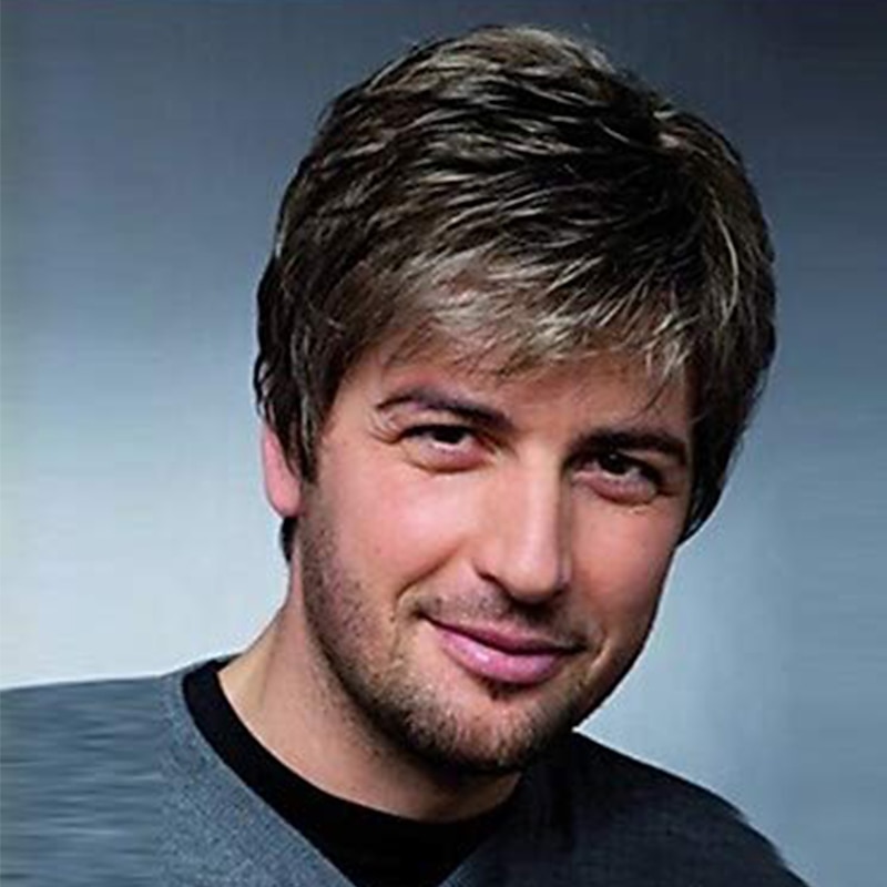 Brown Wigs for Men Mens Wig Short Black Mixed Silver White Natural Side Part Wig Middle Age Mature for Male Synthetic Hair Replacement Full Wigs