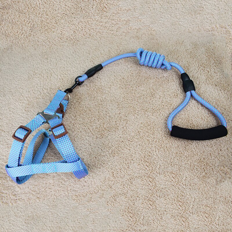 Dog Cat Training Leash Dog Leash Pet Walking Leash Retractable Escape Proof With Anti-Slip Handle Outdoor Walking Solid Colored Small Dog Medium Dog2