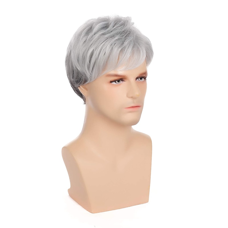Gray Wigs for Men Synthetic Wig Straight Short Bob Wig Short Silver Grey Synthetic Hair Men'S Cosplay Party Fashion Silver Dark Gray3