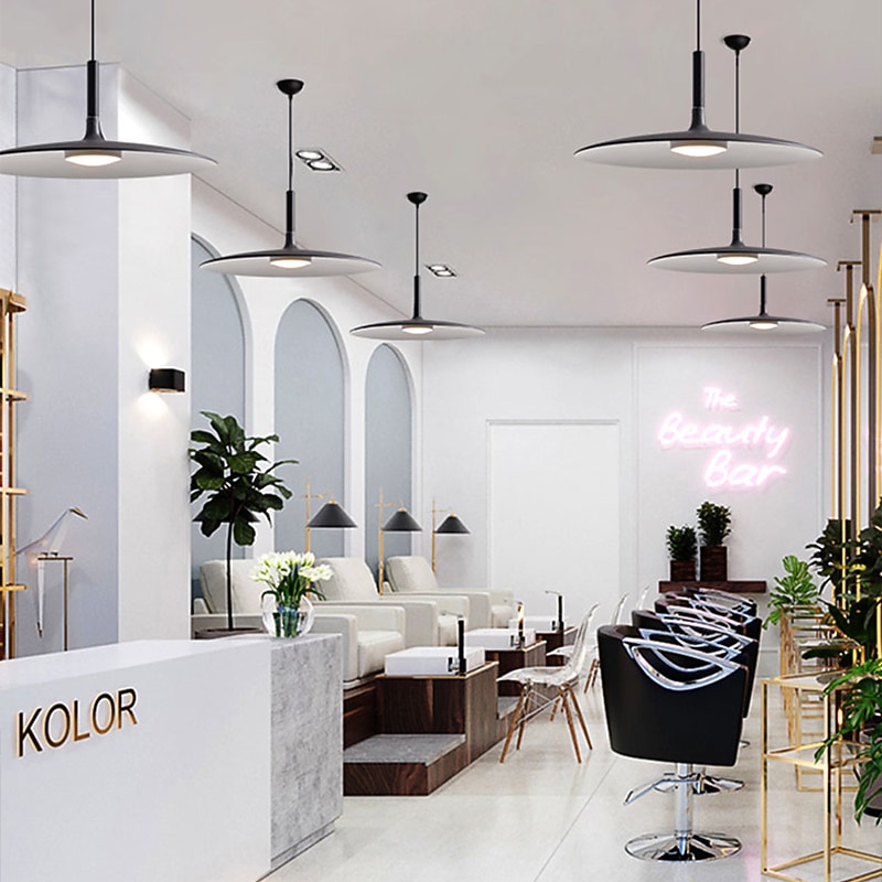 25 cm LED Pendant Light Single Design Metal Painted Finishes Modern 220-240V2