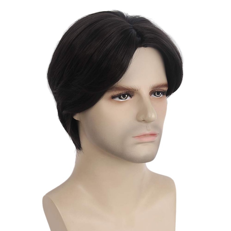 Medieval Wig Mens Wigs Short Straight Hair Synthetic Hair In The Middle Suitable for Mens Daily Role Playing Parties and Hats Black3