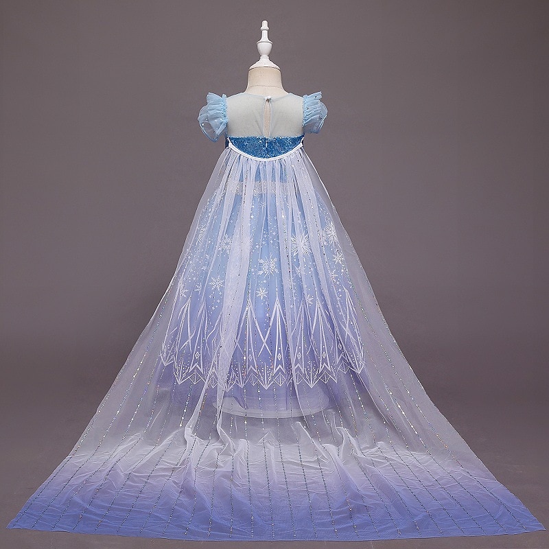 Set With Princess Tulle Dress Hooded Cape Cloak Elsa Crown Gloves Wand Necklace Earings Girls Frozen Outfits Flower Girl Dress Movie Cosplay Cosplay Costume Carnival Party Children's World Book Day4