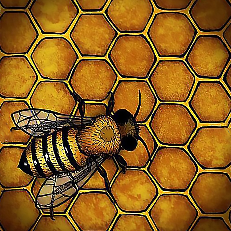 Men's Unisex Bee Graphic Prints Shirt T Shirt Tee Short Sleeve T shirt 3D Print Crew Neck Shirt Designer Casual Big and Tall Daily Holiday A B C Summer Clothing Apparel S M L XL XXL 3XL 4XL3