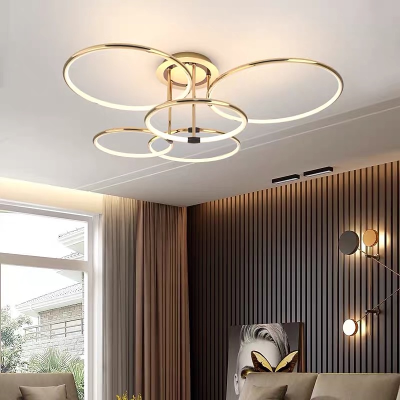 65 cm LED Pendant Light Circle Design Ceiling Light Lantern Desgin Flush Mount Lights Metal Electroplated Modern 220-240V4