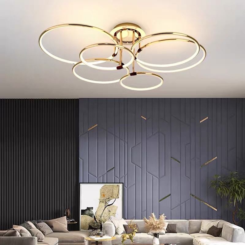 65 cm LED Pendant Light Circle Design Ceiling Light Lantern Desgin Flush Mount Lights Metal Electroplated Modern 220-240V3