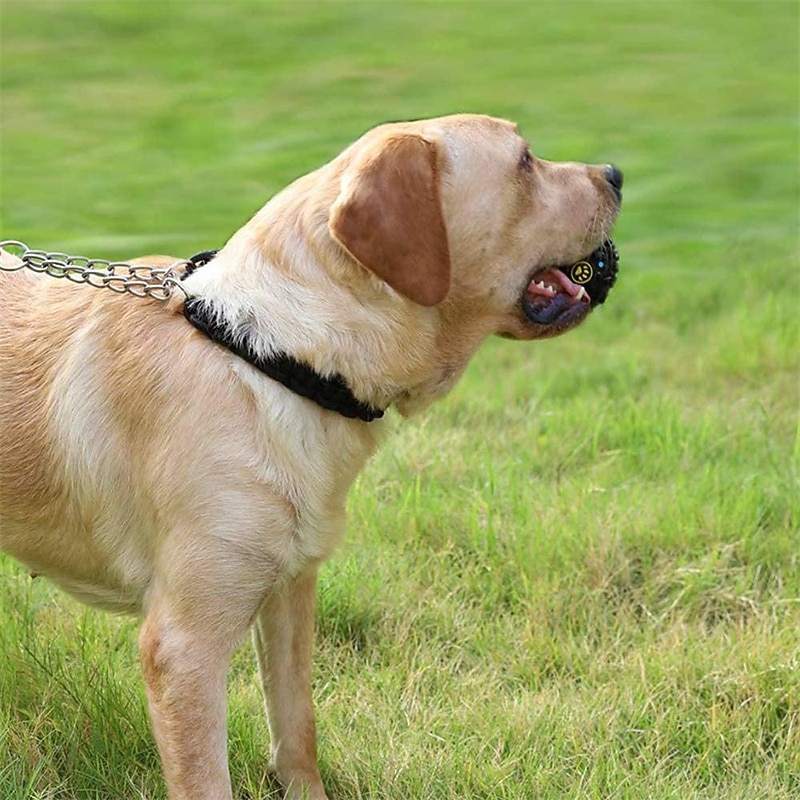 2-Pack Dog Ball Toys Interactive Dog Toys Snack Ball Leaking Ball for Pet Tooth Cleaning/Chewing/PlayingIQ Treat Ball 2.75Inch/7cm2