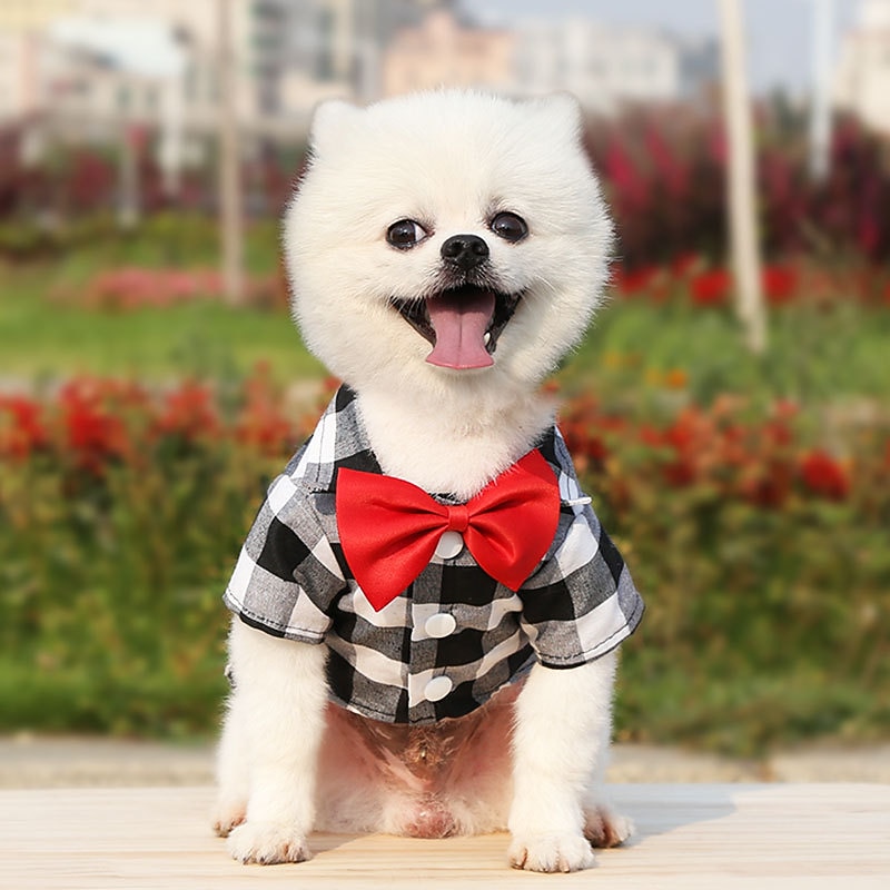 Dog Cat T-shirts Fashion Party Breathable Soft Washable Comfortable Christmas Wedding Outdoor Wedding Party Casual Daily Dog Clothing for Bichon Frise Pomeranian Baby Pet Papillon Small