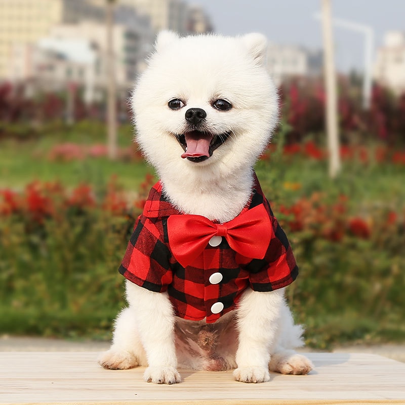 Dog Cat T-shirts Fashion Party Breathable Soft Washable Comfortable Christmas Wedding Outdoor Wedding Party Casual Daily Dog Clothing for Bichon Frise Pomeranian Baby Pet Papillon Small3